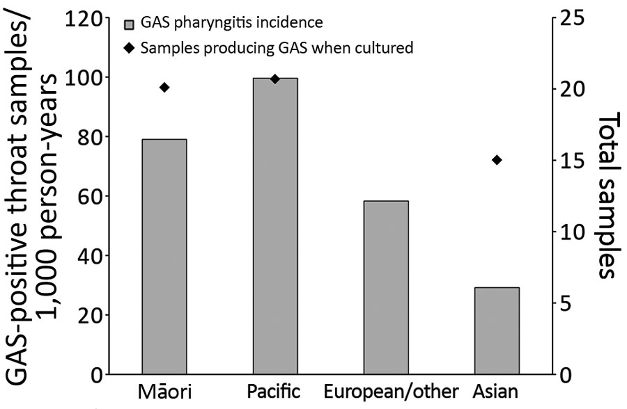 Mean annual distribution of GAS pharyngitis in PHCs among children 5–14 years of age, by ethnic group, Auckland, New Zealand, 2014–2016. Diamonds indicate percentages of swab sample cultures positive for GAS. GAS, group A Streptococcus; PHC, private healthcare clinic.