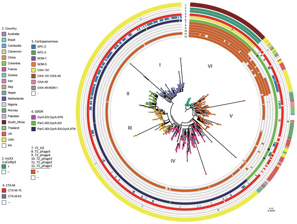 Bayesian phylogenetic analysis of global Klebsiella pneumoniae sequence type (ST) 307 isolates. The ST307 genomes included 88 from South Africa (this study) and 620 international isolates from 19 countries (downloaded from the US National Center for Biotechnology Information whole genome shotgun database. ST307 has 6 distinct clades, as indicated on branches. CTX-M, active on cefotaxime first isolated in Munich; KPC, Klebsiella pneumoniae carbapenemase; NDM, New Delhi metallo-β-lactamases; OXA, 