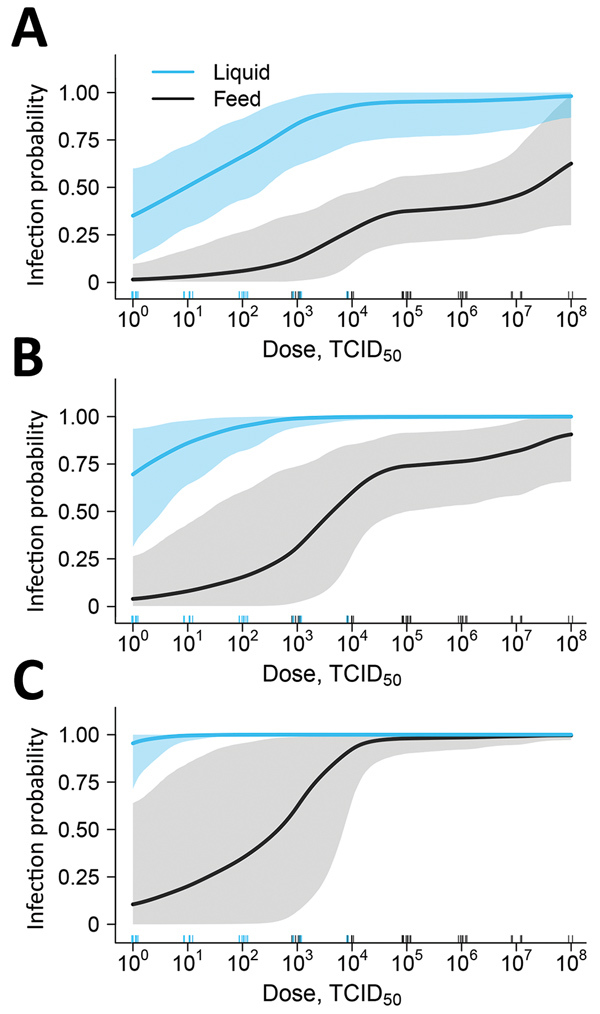 Estimated liquid (blue line) and feed (black line) infection probability at different oral doses of ASFV based on experimental data to determine the infectious dose of ASFV when consumed naturally. Data are shown for 1 exposure (A), 3 exposures (B), and 10 exposures (C). Shading indicates 95% CIs. Numbers of individual pig dosages are represented by the blue and black tick marks above the horizontal axis. Repeated exposures can be viewed interactively online (https://trevorhefley.shinyapps.io/as