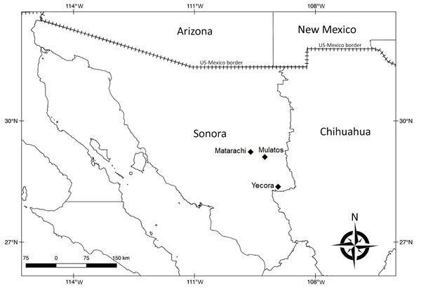 Locations where ticks of the Amblyomma maculatum group were collected (diamonds) in a study of Rickettsia parkeri and Candidatus Rickettsia andeanae, Sonora, Mexico. A layer of Google Maps was used to construct the figure.