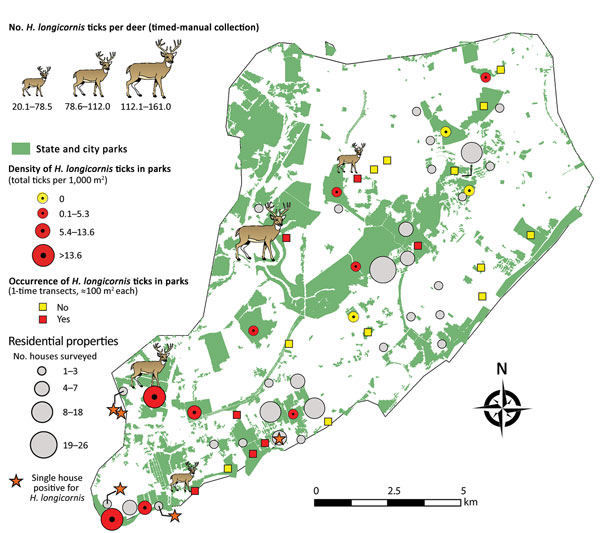 Sampling site locations and number of Haemaphysalis longicornis ticks collected on deer, in parks (grids and transects), and during household visits on Staten Island, New York, USA.