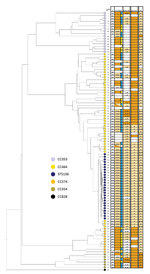 Thumbnail of Whole-genome multilocus sequence typing of 100 selected isolates of Campylobacter jejuni from CC464, CC353, CC354, and CC574, Scotland. The tree was constructed using the UPGMA algorithm based on locus similarity. Isolate ID number indicated at branch end is linked to metadata in Appendix Table 2. Light orange boxes in the grid indicate variants associated with ST5136 isolates spread across the phylogeny; dark orange boxes denote resistance in individual isolates. Blue boxes represe