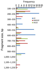 Thumbnail of Allele frequency of msp1 in persons with Plasmodium falciparum infection, North Central Nigeria, 2015–2018. The K1 allele of size 200−250 bp was detected at the highest frequency (n = 18). The next highest detected were the MAD20 allele of fragment size 150–200 bp (n = 11) and the RO33 alleles of fragment sizes 100–150 bp (n = 9) and 650–700 bp (n = 9).