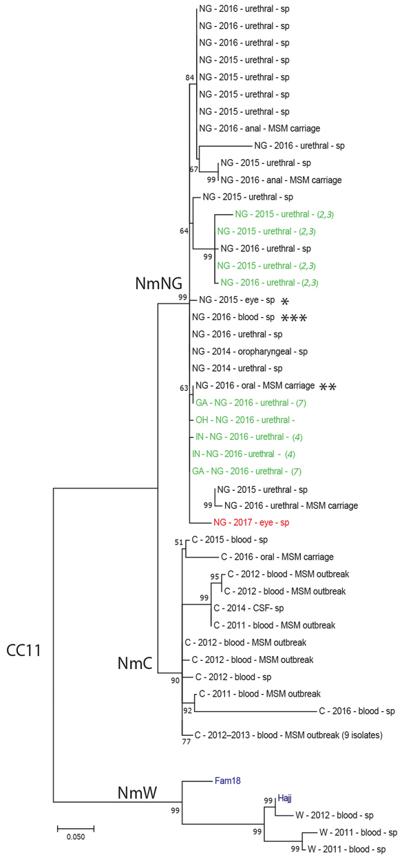 Molecular phylogenetic analysis of Neisseria meningitidis based on whole-genome sequence data from New York City, New York, USA, and publically available sequences belonging to the multilocus sequence typing group cc11. Isolates are listed with serogroup, year of isolation, source, and study (sp, MSM carriage (for isolates obtained during the 2016 MSM carriage study in New York City), or reference from where they were obtained). N. meningitidis reference sequences are labeled in blue (Hajj and F
