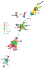 Thumbnail of Minimum spanning tree analysis of invasive group B Streptococcus isolates showing the relationship between ST and CCs by region in China. Circles represent STs; size of each circle indicates the number of isolates within the specific type. The ST with the greatest number of single-locus variants is the founder ST. Regions appear as different colors; shading denotes STs belonging to the same CC. CC, clonal complex; ST, sequence type.