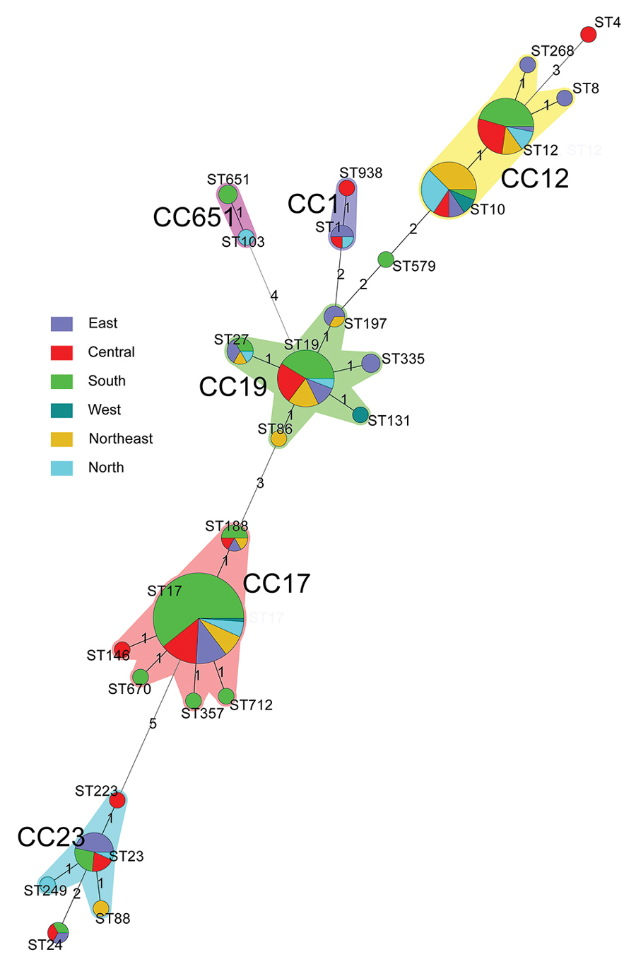 Minimum spanning tree analysis of invasive group B Streptococcus isolates showing the relationship between ST and CCs by region in China. Circles represent STs; size of each circle indicates the number of isolates within the specific type. The ST with the greatest number of single-locus variants is the founder ST. Regions appear as different colors; shading denotes STs belonging to the same CC. CC, clonal complex; ST, sequence type.