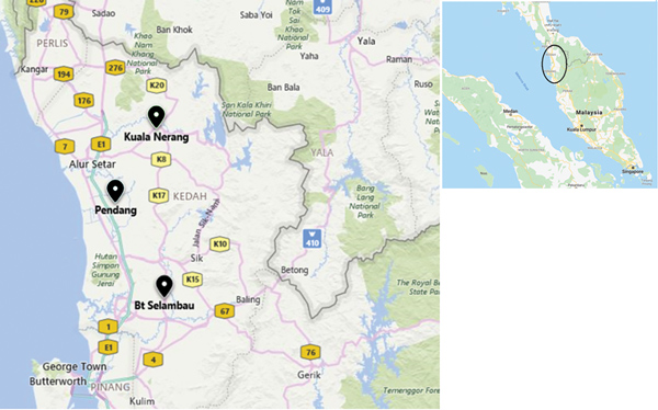 Locations of cases of severe kidney disease in broiler chicken, Malaysia, 2014–2017. Black icons indicate locations of investigated outbreaks. Colored boxes indicate road numbers. Inset indicates area affected by outbreaks within Malaysia. 