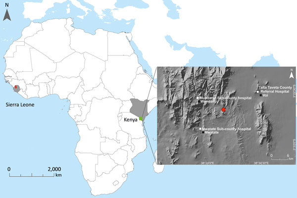 Locations of Bombali Ebola virus infection in Sierra Leone (gray shading at left; Bombali district in red) and Kenya (gray shading at right; Taita Hills area in green). Inset map shows collection site of the Bombali virus–positive bat (red dot) in Kenya, clinics in which human serum samples were collected (white squares), and the closest towns (black squares). 