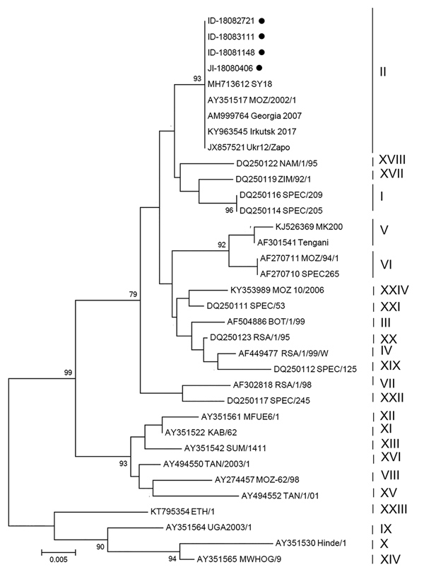 Phylogenic analysis of partial B646L gene sequence of African swine fever virus (ASFV) in samples of pork products brought into South Korea by travelers from Shunyang, China, August 2018, and reference sequences. Neighbor-joining phylogenic tree was constructed by using MEGA 6.0 (https://www.megasoftware.net). Black dots indicate genes of ASFV isolates detected in 3 food items containing pork and 1 commercial pork product confiscated from travelers. Vertical lines at right indicate ASFV genotype