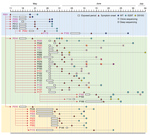 Thumbnail of Emergence and spread of Middle East respiratory syndrome coronavirus (MERS-CoV) bearing the I529T or D510G mutation in the spike protein during the 2015 outbreak in South Korea. Transmission chain of infection and the timeline of potential virus exposure, symptom onset, date of specimen collection from patients, and identified mutation in the spike protein of MERS-CoV analyzed in this study. Case-patients’ IDs are colored on the basis of disease severity (gray, group I; black, group