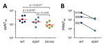 Thumbnail of Increased resistance of Middle East respiratory syndrome coronavirus (MERS-CoV) against antibody-mediated neutralization by spike mutations during the 2015 outbreak in South Korea. A) Neutralizing activity of serum samples against lentiviruses bearing WT and mutant spikes. 50% pseudoparticle neutralization test titers against lentiviruses bearing WT or mutant spikes (I529T or D510G) in serum samples from mice (n = 6) immunized with WT spike antigen are plotted. Mean values are indic