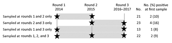 Number of workers sampled during &gt;1 round of sampling (N = 79), Abu Dhabi, United Arab Emirates. Black stars indicate when serum samples were taken; gray shading indicates follow-up periods.