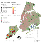 Thumbnail of Study area for analysis of Ixodes scapularis nymphal tick densities and Borrelia burgdorferi infection prevalence, New York, New York, USA, 2017. Open circles indicate parks where tick sample size was too low to estimate nymphal infection prevalence. Inset shows location of study area in New York state. NIP, nymphal infection prevalence; NYC, New York City. 