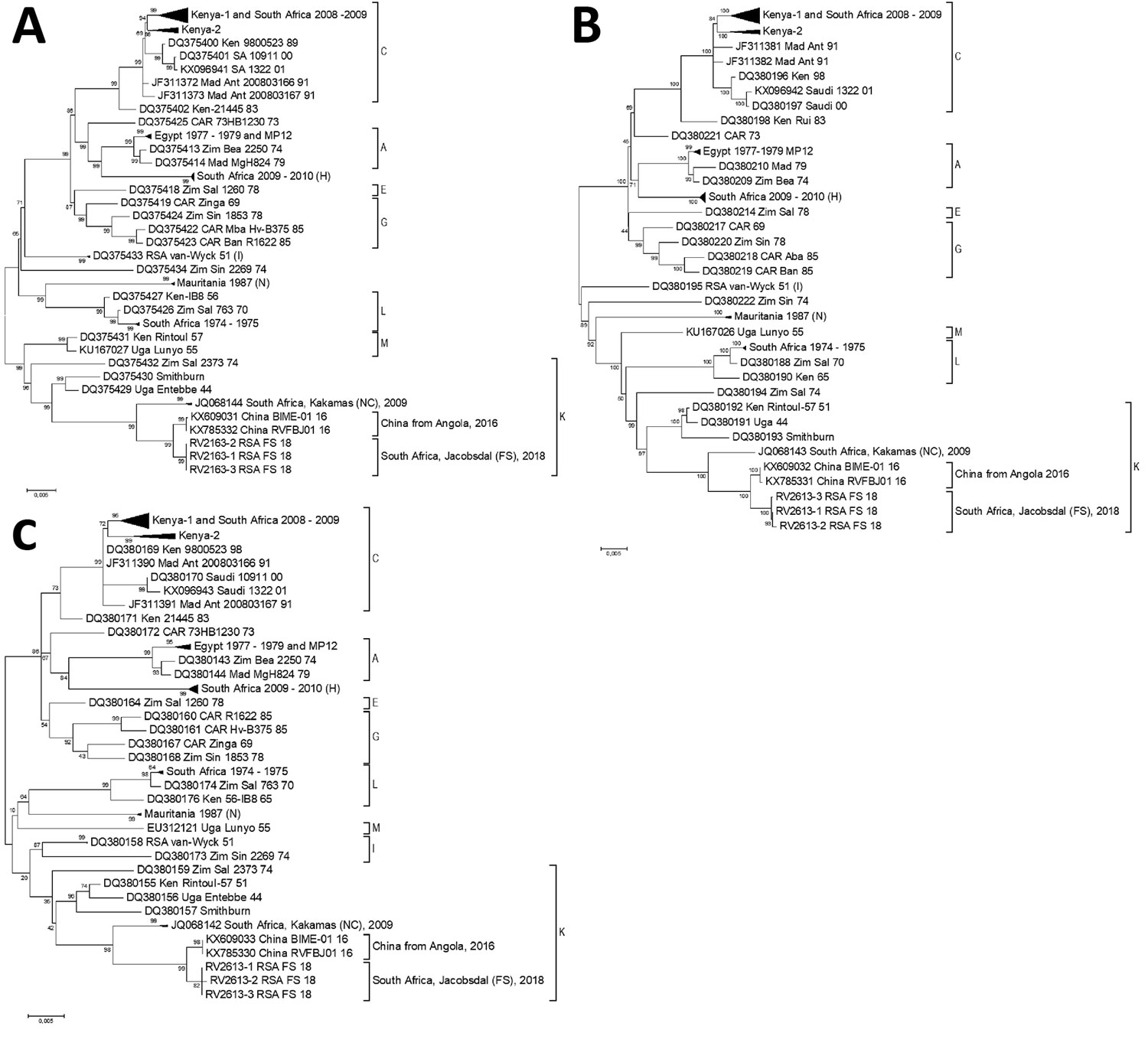 Phylogenetic comparison of the complete segments of Rift Valley fever viruses from South Africa, 2018, and reference isolates. A) Large segment; B) medium segment; C) small segment. Distinct clusters separate the isolates into 10 lineages (A, C, E, G, H, I, K, L, N, and M). Sequences RV2613/RSA/2018 are marked as South Africa, Jacobsdal (FS), 2018 in cluster K. GenBank accession numbers are provided. FS, Free State.