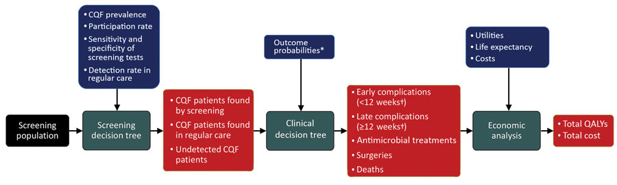 Schematic overview of the health-economic model in a study of the cost-effectiveness of screening for CQF, the Netherlands, 2017. Black square represents model input; green squares are model processes; blue squares are model parameters; and red squares are model outputs. Individual decision trees for screening and clinical outcomes are shown in Appendix Figure 1. *Outcome probabilities differed among patients found by screening, patients found in regular care, and patients who remained undetecte