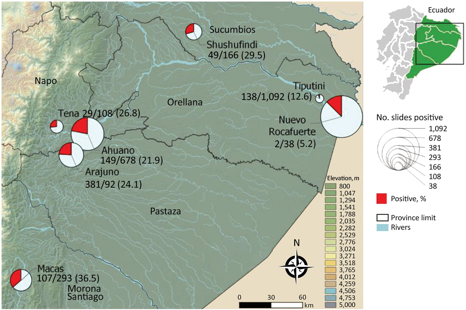 Amazon region of Ecuador where testing for Mansonella ozzardi microfilariae in humans was conducted. Of 2,756 archived slides from human infections, 566 (20.5%) were positive for this parasite. Values are no. positive/no. tested (%). Inset shows location of study area within Ecuador.