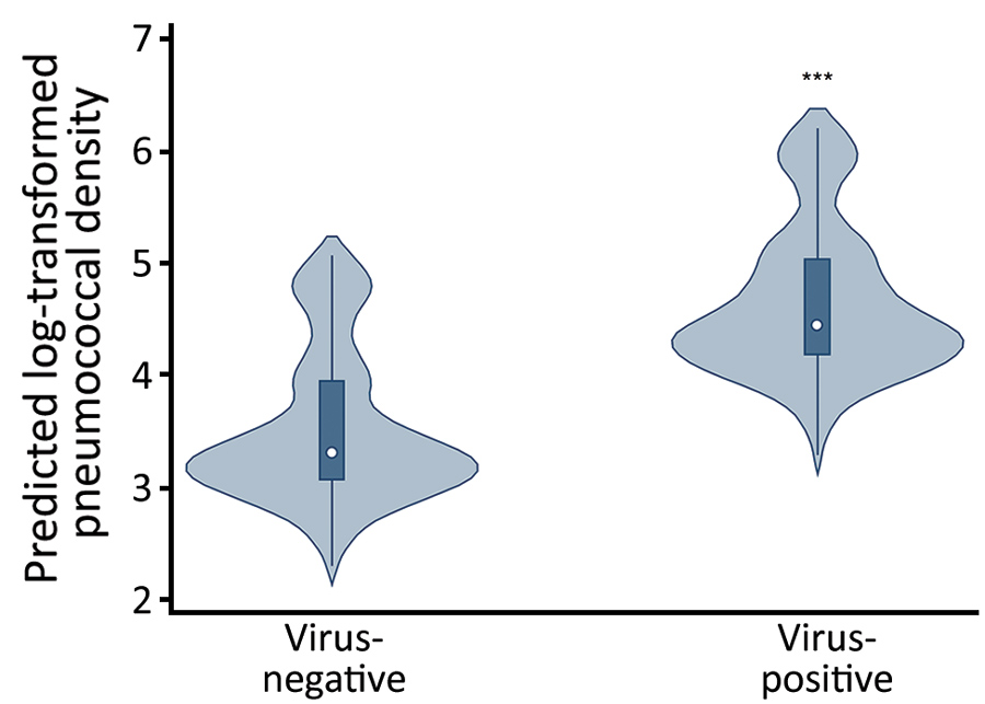 Violin plots of predicted log10-transformed pneumococcal colonization densities by any viral detection among children &lt;3 years of age, Respiratory Infections in Andean Peruvian Children study, May 2009–September 2011. Predicted densities were estimated from the final multivariable linear quantile mixed effects model. Circles indicate median densities, boxes represent interquartile range, lines extend through the upper and lower adjacent values, and the density plot width indicates the predict