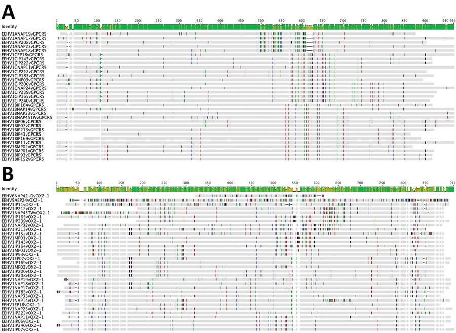 Nucleotide sequence polymorphism charts for Asian elephant calves that had endotheliotropic herpesvirus hemorrhagic disease in logging camp, Myanmar. Shown are comparisons for hemorrhagic disease cases MP01, MP02, and MP03 across 2 hypervariable EEHV1 PCR loci. A) E5(vGPCR5). B) E54(vOX2-1). Polymorphisms were generated by using Geneious (https://www.geneious.com) and MEGA5 (https://www.megasoftware.net) Bayesian phylogenetic trees comparing the Myanmar Proboscivirus case DNA sequence results wi