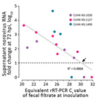 Thumbnail of Estimation of a cutoff for rRT-PCR Ct value of inoculating fecal filtrate indicative of the ability to generate productive norovirus replication (i.e., containing infectious norovirus) in a human intestinal enteroid (HIE) line. We tested 3 strains of pandemic human norovirus genogroup II genotype 4 (GII.Pe-GII.4 Sydney) (CUHK-NS-1030, from a 1-year-old boy; CUHK-NS-1127, from a 79-year-old man; CUHK-NS-1499, from a 46-year-old man). We used 3-fold serial dilutions of norovirus-conta