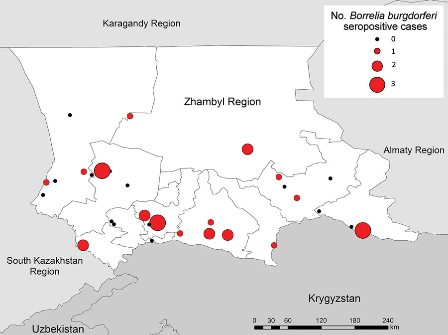 Number of Borrelia burgdorferi–seropositive cases in villages included in serologic survey for tickborne diseases, Zhambyl Region, Kazakhstan. Circle size denotes the number of IgG antibody–positive serology results indicating past exposure to B. burgdorferi.
