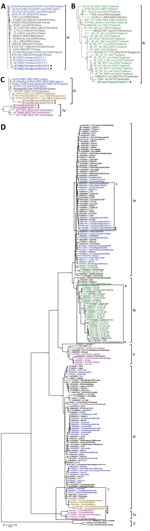 Thumbnail of Maximum-likelihood phylogeny of JEV isolates, Japan and Southeast Asia, 2016–2018 (circles), and reference isolates constructed on the basis of the envelope gene sequence (1,500 nt). A) Genotype Ia (GIa); B) genotype GIb; C) genotypes GIII and GIV; D) parent tree showing all genotypes. Tree was reconstructed by using MEGA6 (https://megasoftware.net) with 100 bootstraps under the generalized time reversible model. JEVs isolated in Japan (blue), Thailand (green), the Philippines (yell