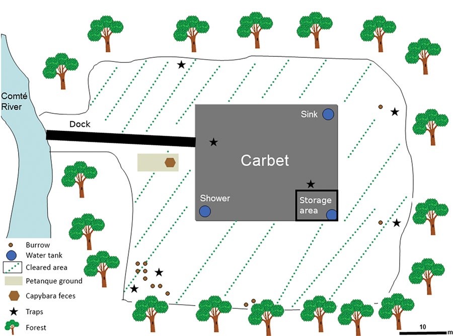 Sample collection and animal trap sites around carbet used in environmental investigation of Q fever outbreak near Comté River in the Amazon Rain Forest area of French Guiana, 2014.
