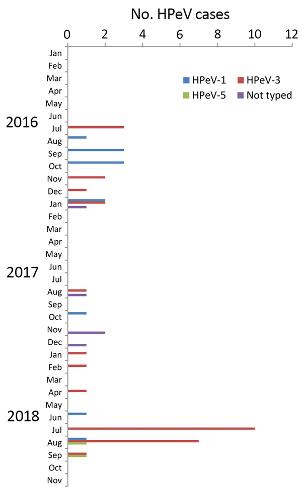 Number of human parechovirus (HPeV) cases in infants and young children by month, Freiburg, Germany, 2016–2018.