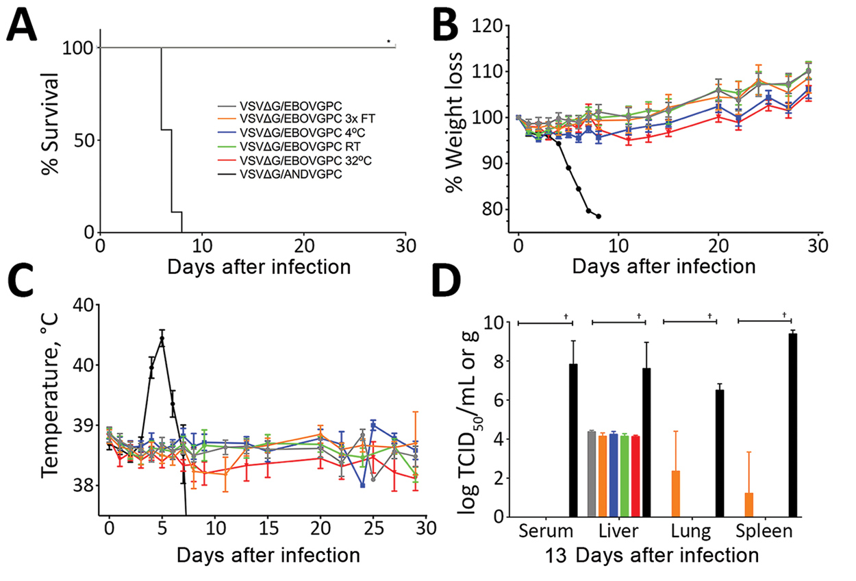 Evaluation of the effects of suboptimal storage of VSVΔG/EBOVGPC in guinea pigs. A) Survival rates. B) Percentage weight loss. Values &gt;100% indicate weight gain. C) Body temperatures. D) Viral titers. In A, B, and C, n = 6 animals; in D, n = 3 animals. Survival analysis was conducted using a log-rank Mantel-cox test (*, p&lt;0.0001). Viral loads in tissues were compared with VSVΔG/ANDVGPC controls using a 2-way analysis of variance (†, p&lt;0.0001). Error bars indicate SEM. FT, freeze–thaw; R