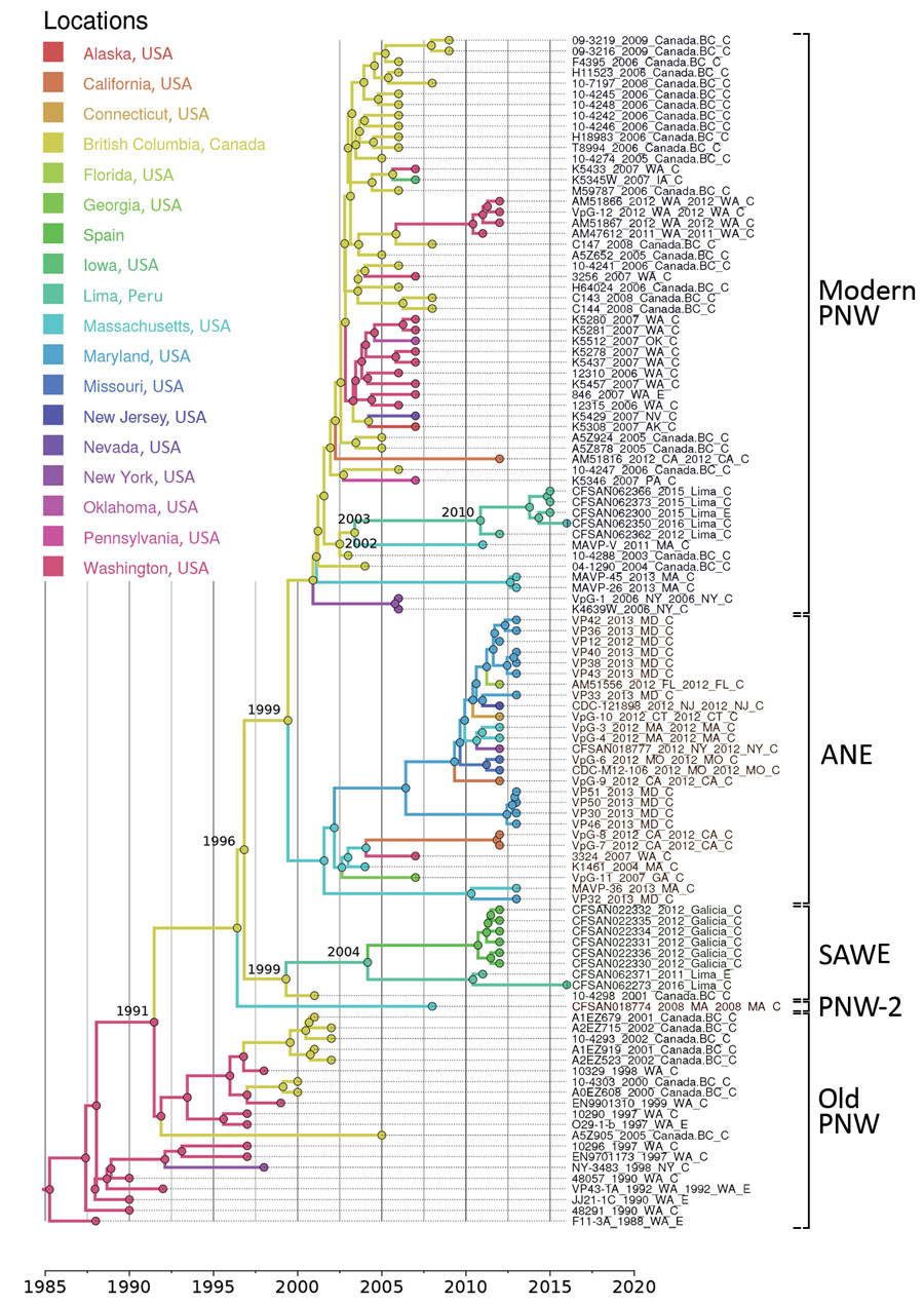 Phylogenetic reconstruction of transcontinental spread of Vibrio parahaemolyticus sequence type 36, North America, Peru, and Spain, 1985–2016. Timeline was estimated with BEAST (https://beast.community) by applying a Bayesian skyline demographic model and uncorrelated lognormal molecular clock. Single-nucleotide polymorphisms were identified in core genomes after the removal of recombination. Branch colors represent the most probable geographic origin of the last common ancestor of the group. Da