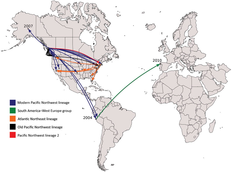 Transcontinental spread of Vibrio parahaemolyticus sequence type 36, North America, Peru, and Spain, 1985–2016. Timeline was estimated by using BEAST (Bayesian evolutionary analysis by sampling trees). Years on map indicate the inferred dates of arrival of V. parahaemolyticus sequence type 36 to that country. Old Pacific Northwest is the ancestral population (last strain identified in 2002) of the Pacific Northwest lineage complex, which also includes the modern (i.e., currently circulating) Pac