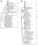Thumbnail of Phylogenetic trees of the norovirus GII partial-nucleotide sequences. A) Analysis of the RNA-dependent RNA polymerase (RdRp) region (380 bp). B) Analysis of the major capsid protein VP1 region (271 bp). Trees were generated by using the maximum-likelihood method with 1,000 bootstrap replicates implemented in MEGA7 (https://www.megasoftware.net). Bootstrap values &gt;80 are indicated at the nodes. Strains of sufficient nucleotide sequence length were included in the trees (denoted in