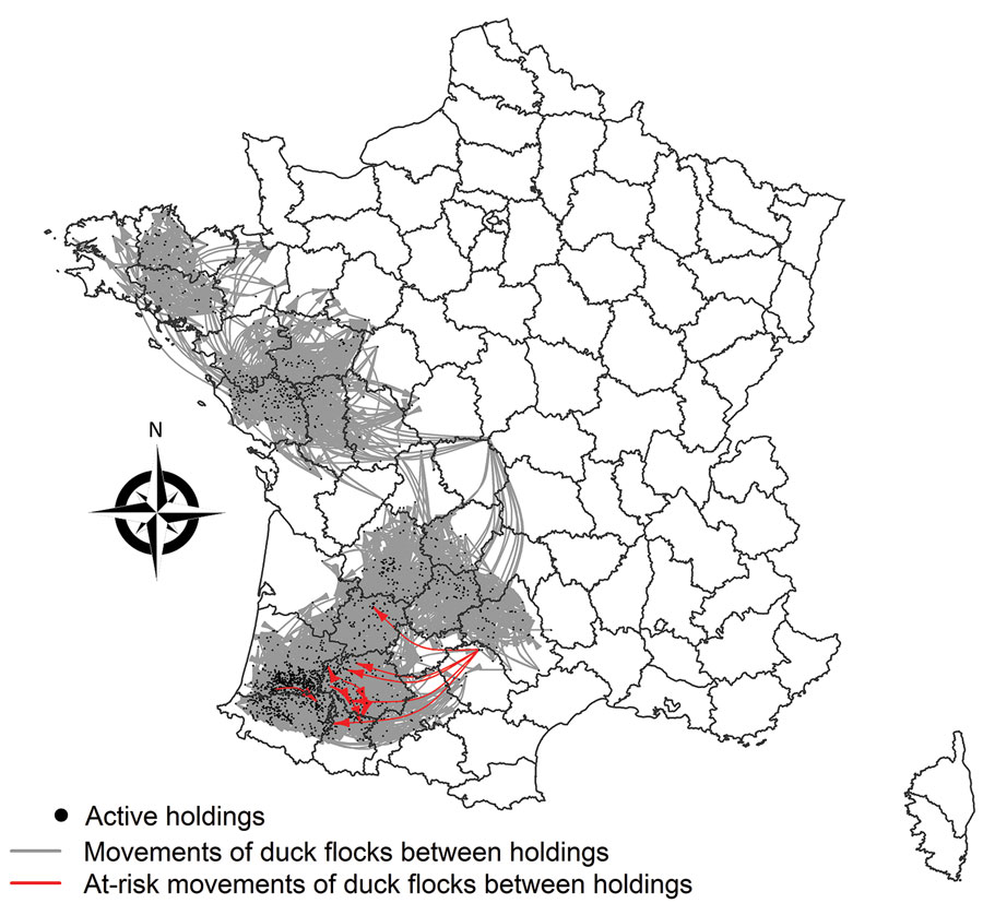 Spatial distribution of live-duck movements identified as responsible for highly pathogenic avian influenza A(H5N8) transmission events between holdings through the movement networks, France, November 1, 2016–February 2, 2017.