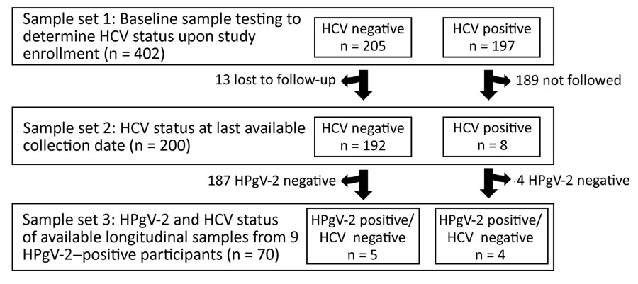 Design of study of chronic human pegivirus-2 and hepatitis C virus co-infection in injection drug users in the San Francisco Bay area, California, USA. Samples were tested using HPgV-2 molecular and serologic assays in 3 sample sets. HCV, hepatitis C virus; HPgV-2, human pegivirus 2. 