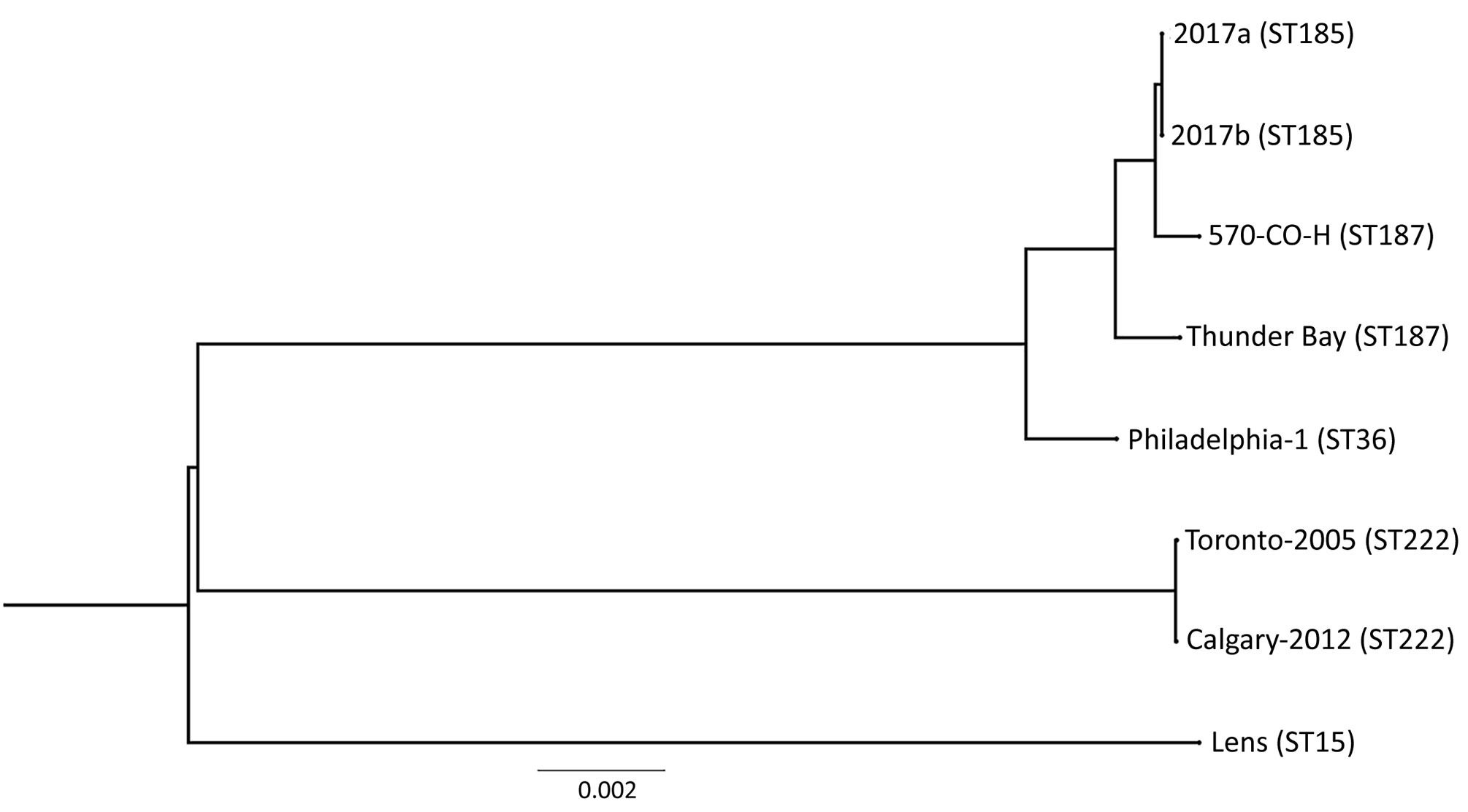 Phylogenetic tree depicting the relationship between Legionella pneumophila isolates identified during investigation of legionellosis in an immunocompromised 3-year-old girl, Calgary, Alberta, Canada, and reference sequences. L. pneumophila core ortholog-based maximum-likelihood phylogenetic tree shows 8 previously published genomes and sequences of the 2 isolates from this study (2017a, clinical isolate from patient; 2017b, environmental isolate from hot tub in patient’s home). Tree constructio