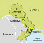 Thumbnail of Locations where Mycobacterium tuberculosis complex (MTBC) DNA samples were collected in Odessa and Vinnytsia regions. Yellow dots indicate locations of patients infected with a MTBC lineage 2 Ukraine outbreak strain. Green dots indicate major cities.s