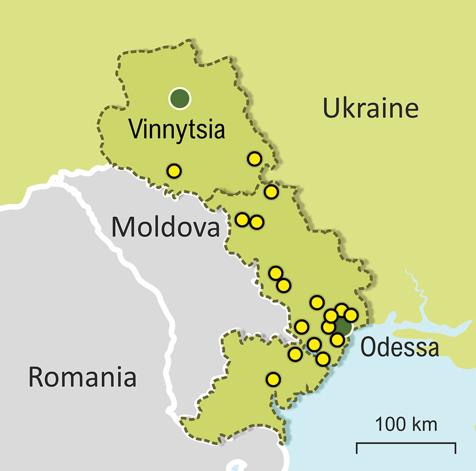 Locations where Mycobacterium tuberculosis complex (MTBC) DNA samples were collected in Odessa and Vinnytsia regions. Yellow dots indicate locations of patients infected with a MTBC lineage 2 Ukraine outbreak strain. Green dots indicate major cities.s