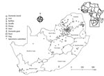 Thumbnail of Areas where West Nile virus infections were detected in wildlife and nonequine domestic animals, South Africa, 2010–2018. Insert indicates location of South Africa in Africa.