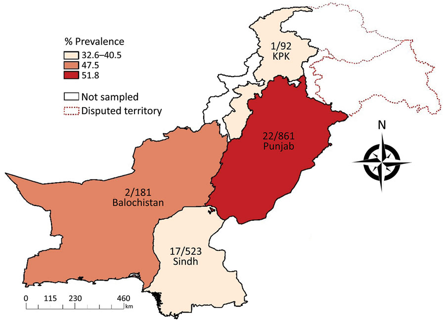 Seroprevalence of severe fever with thrombocytopenia syndrome virus in 4 provinces of Pakistan determined on the basis of ELISA detection. Numbers on map indicate microneutralization test–positive samples/total number of samples collected from the respective provinces. KPK, Khyber Pakhtunkhwa.