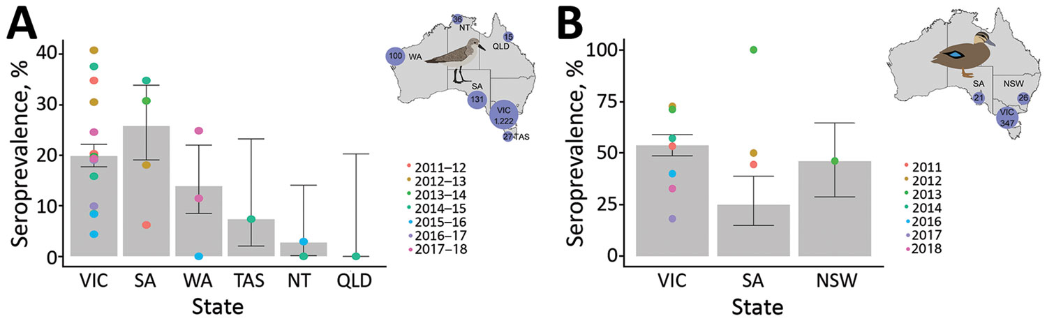 Seroprevalence for nucleoprotein antibodies in red-necked stints and Pacific black ducks, Australia, 2011–2018. A) For red-necked stint, year represents the austral summer period, October–April, when this species has a migratory nonbreeding stopover in Australia. B) For Pacific black duck, year represents calendar year. (No samples were collected in 2015.) Inset maps show the number of samples collected from each species in each state over the course of this study. Error bars represent seropreva