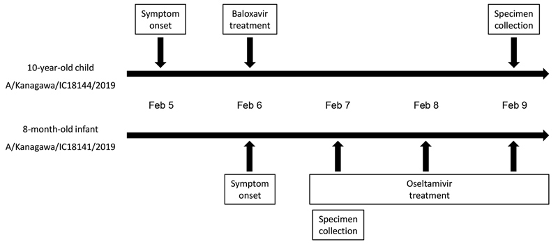 Clinical timeline of 2 siblings infected with mutant influenza A(H3N2) viruses encoding the polymerase acidic I38T substitution, Japan, February 2019. Whole-genome sequences of A/Kanagawa/IC18144/2019 (isolate no. EPI ISL 346656) and A/Kanagawa/IC18141/2019 (isolate no. EPI ISL 345215) are available from the GISAID EpiFlu database (http://www.gisaid.org).