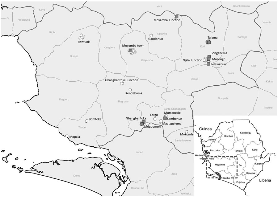 Sampling locations for study of Ebola virus neutralizing antibodies in dogs, Moyamba District, Sierra Leone, 2017. White circles indicate sampling locations; gray squares indicate dog serum samples with virus neutralizing activity.