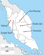 Thumbnail of Locations of hospitals in peninsular Malaysia from which clinical Plasmodium knowlesi infections were sampled and sequenced in the states of Perak (Taiping and Sungai Siput), Kelantan (Gua Musang), and Pahang (Kuala Lipis and Temerloh). Of 56 infection samples processed through leukocyte depletion and subsequent DNA extraction, 32 had sufficient quantity and purity of P. knowlesi DNA for Illumina sequencing (https://www.illumina.com), of which 28 yielded high coverage genomewide seq