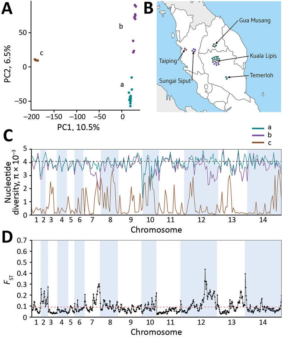 Plasmodium knowlesi cluster 3 clinical isolates forming genomic subpopulations that co-occur locally, Peninsular Malaysia. A) Principal component analysis of the 28 cluster 3 P. knowlesi clinical isolates from Peninsular Malaysia, showing clustering into 3 groups: subclusters A (15 isolates), B (10 isolates), and C (3 isolates). The assignment of all samples to these 3 subclusters is completely consistent with their placement in the within-cluster 3 branching of the neighbor-joining tree based o