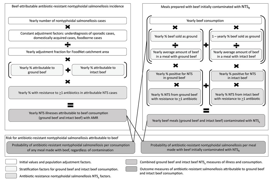 Conceptual model and data sources for calculation of risk for beef-attributable antibiotic-resistant nontyphoidal salmonellosis per 1 million beef meals (Pill) in study of risk for antimicrobial-resistant salmonellosis from beef, United States, 2002–2010. NTS, nontyphoidal Salmonella; NTSr, antibiotic-resistant NTS.