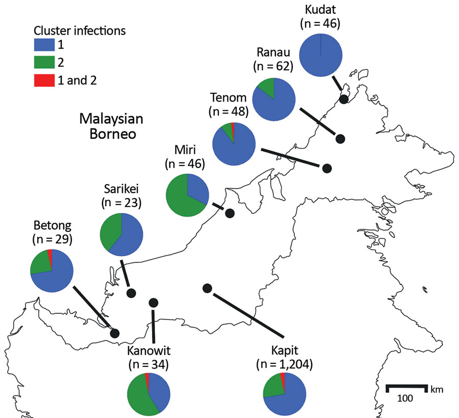 Proportions of cluster 1 and cluster 2 Plasmodium knowlesi infections as defined with the cluster-specific PCRs, Malaysian Borneo. A total of 1,492 P. knowlesi infections from humans were genotyped using the cluster-specific PCR primers. The exact numbers for each location are shown in Appendix Table 3. 