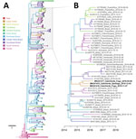 Thumbnail of Maximum clade credibility phylogenetic tree demonstrating migration history of Zika virus (ZIKV) Asian lineage, 2014–2018. A) Phylogeny of 459 ZIKV isolates. The tree base was removed for ease of presentation. Tips of tree are colored according to their sampling location and branches according to their most probable geographic location. Note that sequences from the 2016 Angola outbreak (23) were published during the later stages of preparation of this manuscript and therefore were n