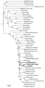 Thumbnail of Dendrogram for characterization of Burkholderia pseudomallei isolate TX2018b from a 63-year-old man in Texas, USA, by comparison with reference genomes. Maximum-parsimony phylogenetic analysis based on core single-nucleotide polymorphisms (SNP) by using Parsnp, a component of the Harvest 1.3 software (https://github.com/marbl/harvest). Bold indicates clusters of genomes associated with the southwestern United States; the 2004 patient resided in the same county as the patient describ