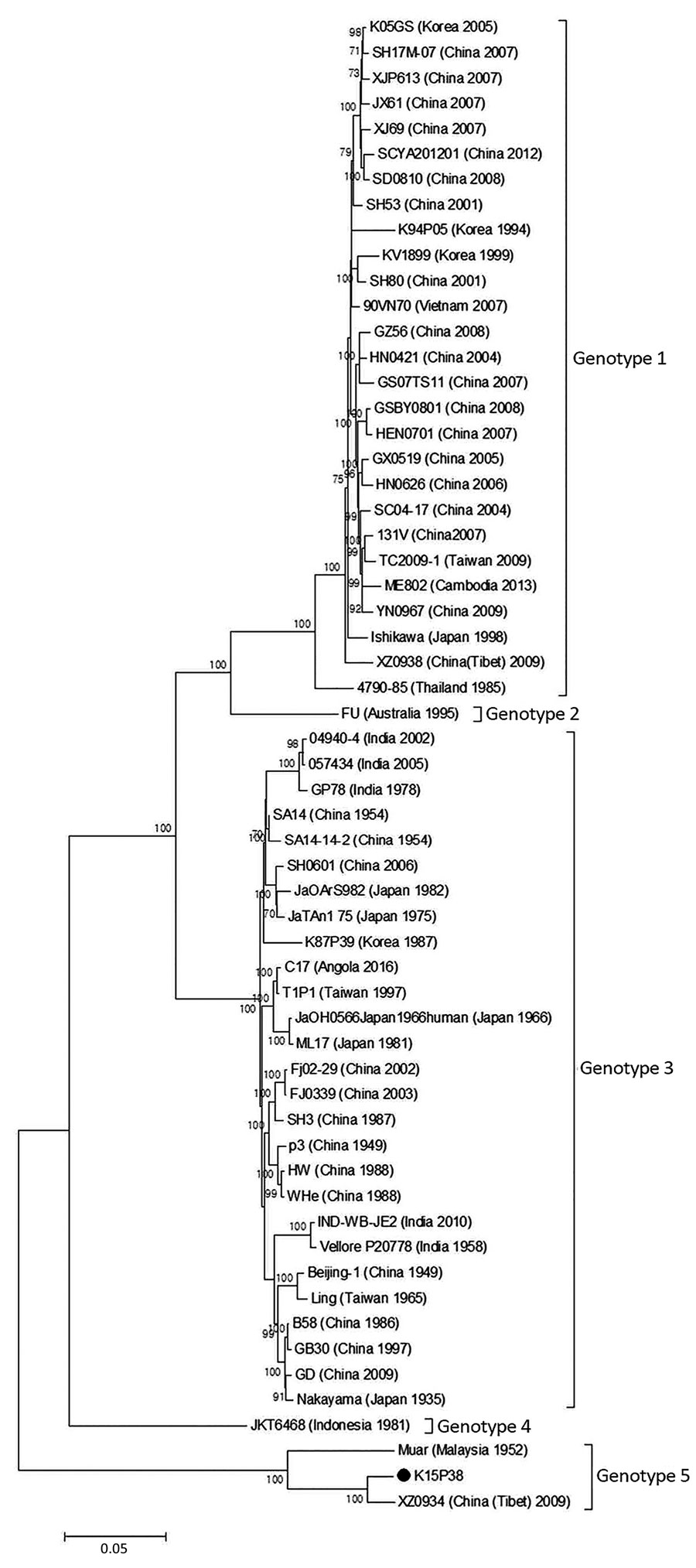 Phylogenetic tree of Japanese encephalitis virus genotypes 1–5, South Korea. Entire open reading frame is shown. Bootstrap probabilities (values along branches) of each node were calculated by using 1,000 replicates. Branches showing quartet puzzling reliability &gt;70% can be considered well supported. Black circle indicates K15P38 strain from patient samples. Scale bar indicates nucleotide substitutions per site.
