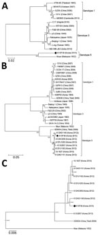 Thumbnail of Phylogenetic trees of Japanese encephalitis virus (JEV) genotypes 1, 3, and 5, South Korea. A) Entire open reading frame of JEV human isolates. B) Envelope protein genes of JEV human isolates. C) Divergence time estimation based on the envelope protein genes of JEV genotype 5. Bootstrap probabilities (values along branches) of each node were calculated by using 1,000 replicates. Branches showing quartet puzzling reliability &gt;70% can be considered well supported. Black circles ind