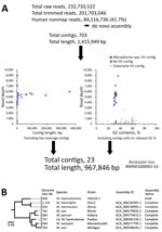 Thumbnail of Analysis for Candidatus Mycoplasma haemohominis in serum of a 42-year-old man, Japan. A) Prediction that de novo assemblies contained bacteria and human DNA sequences. Bacteria-related sequences were identified by using read depth, % GC, and blastn (https://blast.ncbi.nlm.nih.gov) search results. Read depth indicates how many times next-generation sequencing confirmed the sequence at each nucleotide position. B) Phylogenetic tree of 16S rRNA genes of Mycoplasma spp. The tree was con